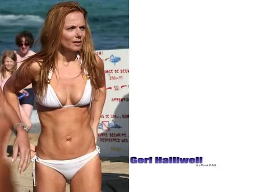 Geri Halliwell Jigsaw Puzzle picture 136525