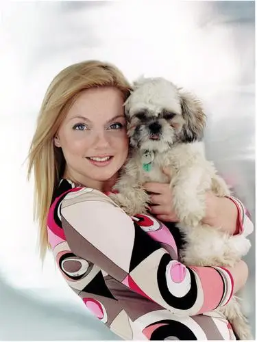 Geri Halliwell Wall Poster picture 627439