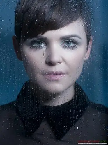 Ginnifer Goodwin Wall Poster picture 618166