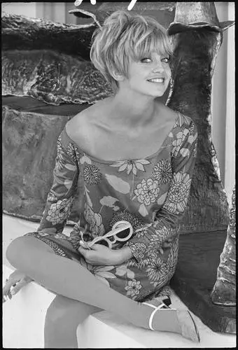 Goldie Hawn Fridge Magnet picture 619518