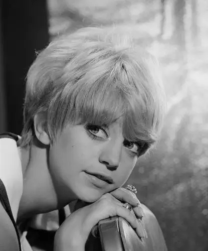 Goldie Hawn Fridge Magnet picture 619520