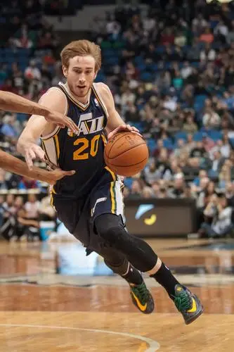 Gordon Hayward Wall Poster picture 692313