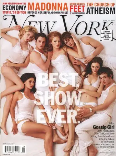 Gossip Girl Jigsaw Puzzle picture 67058