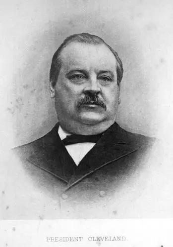 Grover Cleveland Fridge Magnet picture 478447