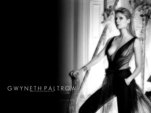 Gwyneth Paltrow White T-Shirt - idPoster.com
