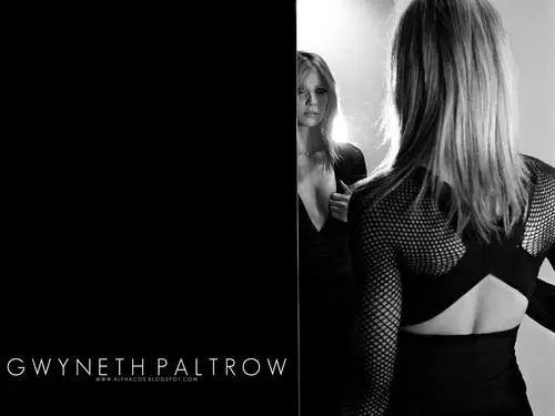 Gwyneth Paltrow Kitchen Apron - idPoster.com