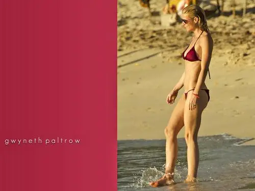 Gwyneth Paltrow Tote Bag - idPoster.com