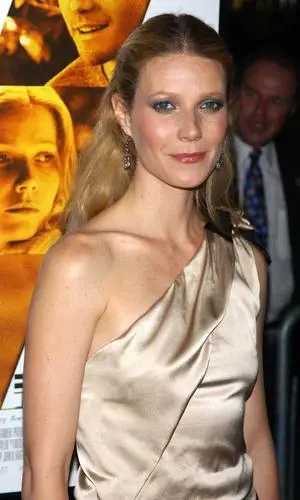 Gwyneth Paltrow Jigsaw Puzzle picture 35213