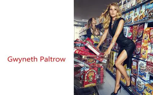Gwyneth Paltrow Kitchen Apron - idPoster.com