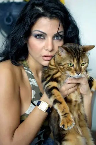 Haifa Wehbe Wall Poster picture 621907