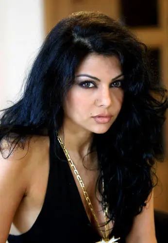 Haifa Wehbe Wall Poster picture 621913