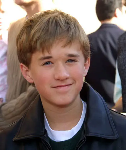 Haley Joel Osment Jigsaw Puzzle picture 892149