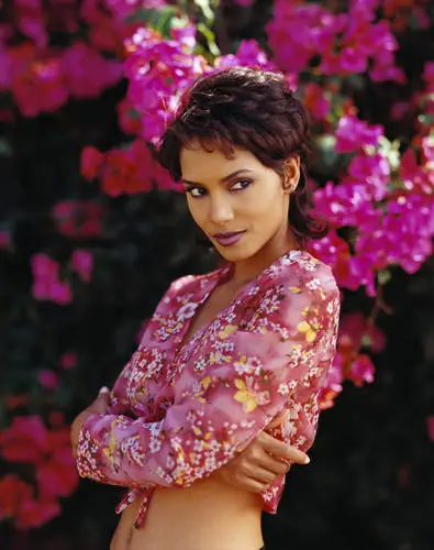 Halle Berry Wall Poster picture 289743