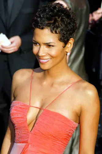 Halle Berry Wall Poster picture 35277