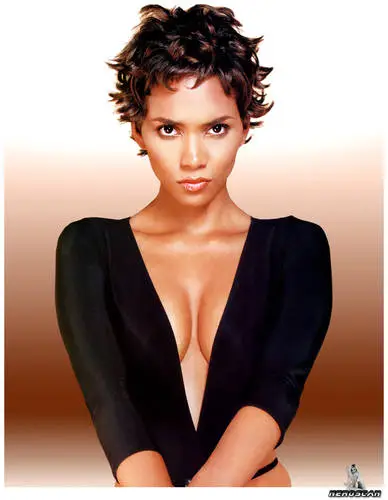 Halle Berry Wall Poster picture 8229