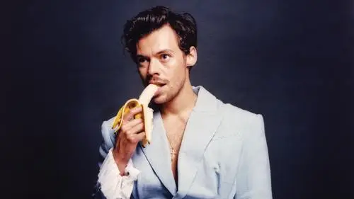 Harry Styles Jigsaw Puzzle picture 20769