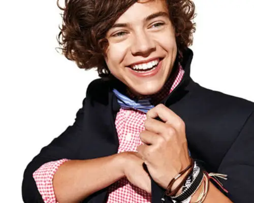Harry Styles Computer MousePad picture 200053