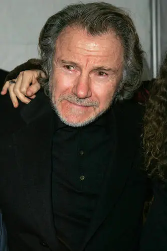Harvey Keitel Jigsaw Puzzle picture 75742