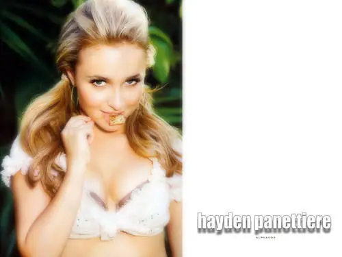 Hayden Panettiere Wall Poster picture 137198