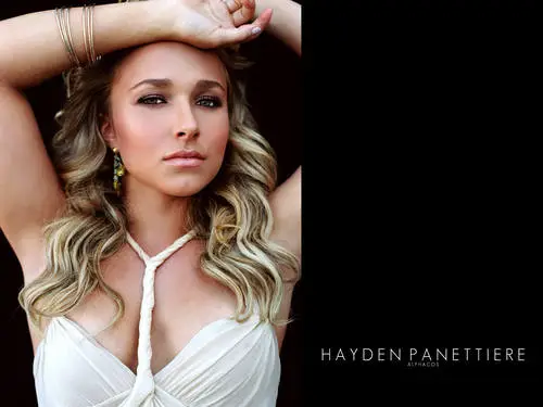 Hayden Panettiere Jigsaw Puzzle picture 137213