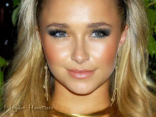Hayden Panettiere Wall Poster picture 8539