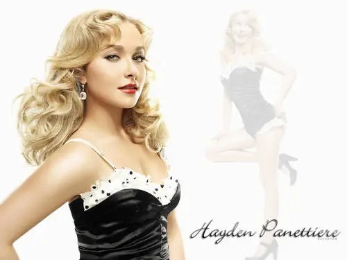 Hayden Panettiere Wall Poster picture 8552