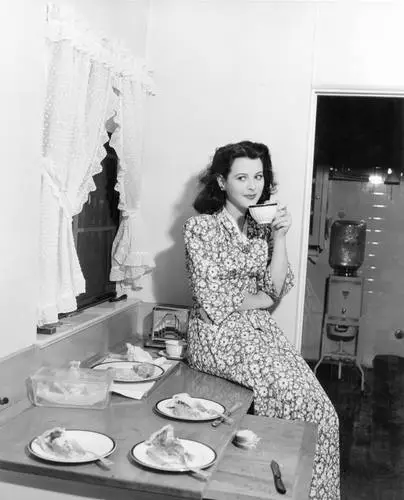 Hedy Lamarr Kitchen Apron - idPoster.com