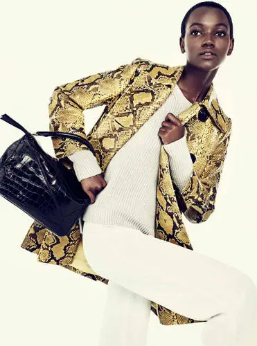 Herieth Paul Wall Poster picture 440828