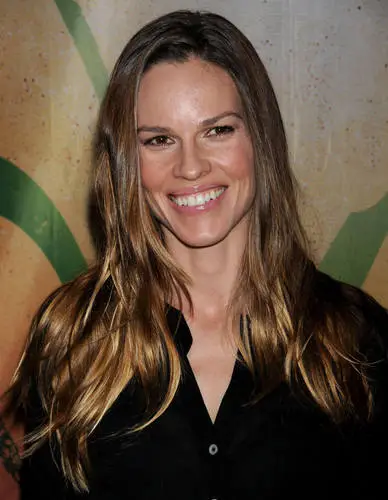 Hilary Swank Jigsaw Puzzle picture 137692
