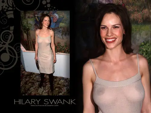 Hilary Swank Wall Poster picture 137736