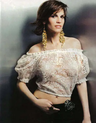 Hilary Swank Wall Poster picture 35829