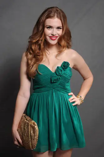 Holland Roden Wall Poster picture 626069