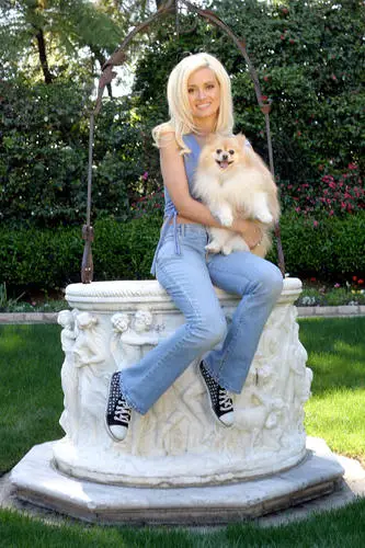 Holly Madison Jigsaw Puzzle picture 626117