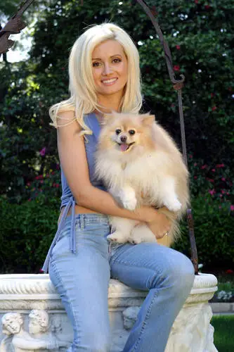 Holly Madison Wall Poster picture 626118