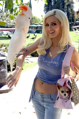 Holly Madison Jigsaw Puzzle picture 626123