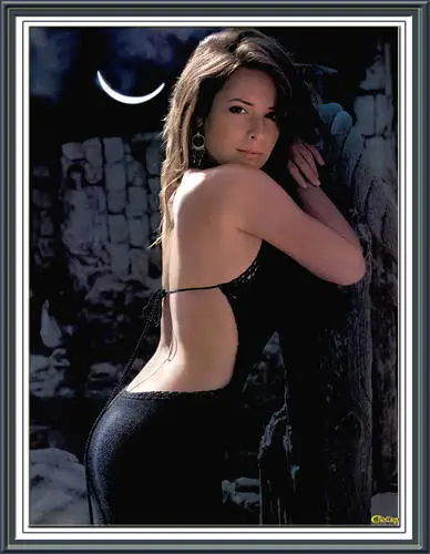 Holly Marie Combs Wall Poster picture 187130