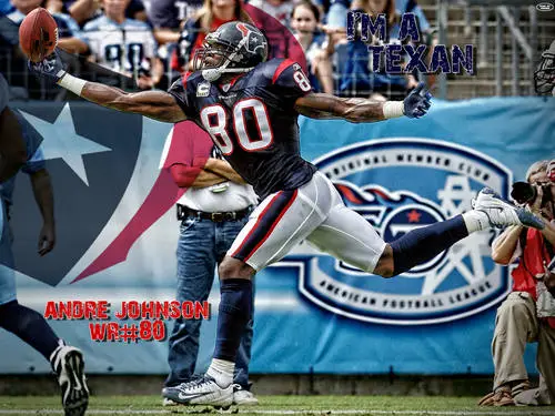 Houston Texans Jigsaw Puzzle picture 52258