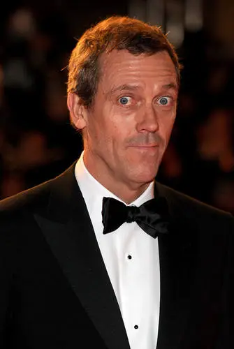Hugh Laurie Wall Poster picture 87766