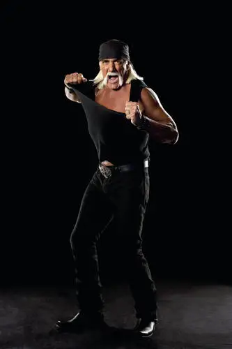 Hulk Hogan Protected Face mask - idPoster.com