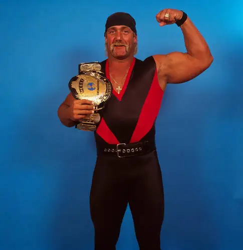Hulk Hogan Fridge Magnet picture 523781