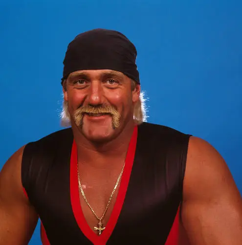 Hulk Hogan Fridge Magnet picture 523782