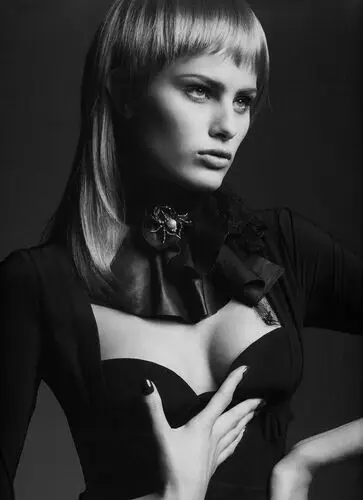 Isabeli Fontana Wall Poster picture 64567