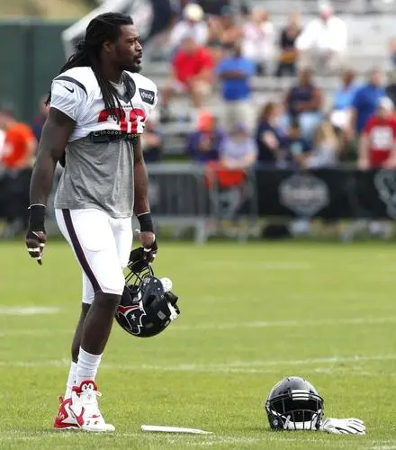 Jadeveon Clowney Wall Poster picture 718951