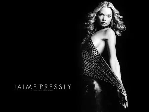 Jaime Pressly Wall Poster picture 138164