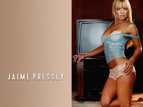 Jaime Pressly Wall Poster picture 138188