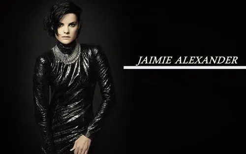 Jaimie Alexander Wall Poster picture 652253