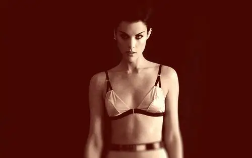 Jaimie Alexander Wall Poster picture 652257