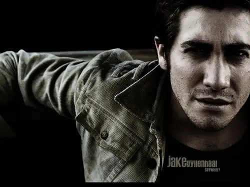 Jake Gyllenhaal Jigsaw Puzzle picture 69207