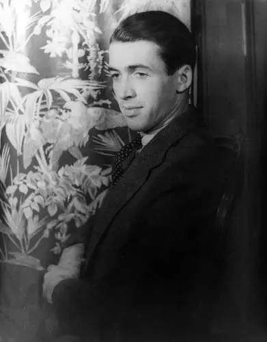 James Stewart Jigsaw Puzzle picture 928928