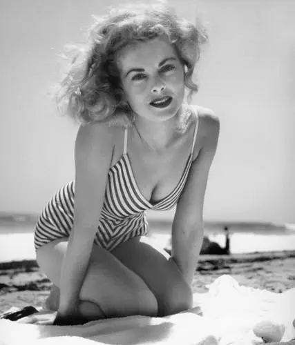 Janet Leigh Wall Poster picture 635478